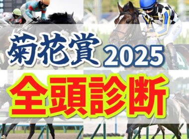 菊花賞2025 全頭診断と本命予想！クラシック最後の戴冠はどの馬だ！