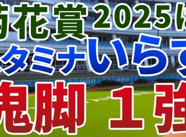 菊花賞2025【絶対軸1頭】公開！長丁場なのにスタミナよりスピード？エリキングとエネルジコが淀で激突！