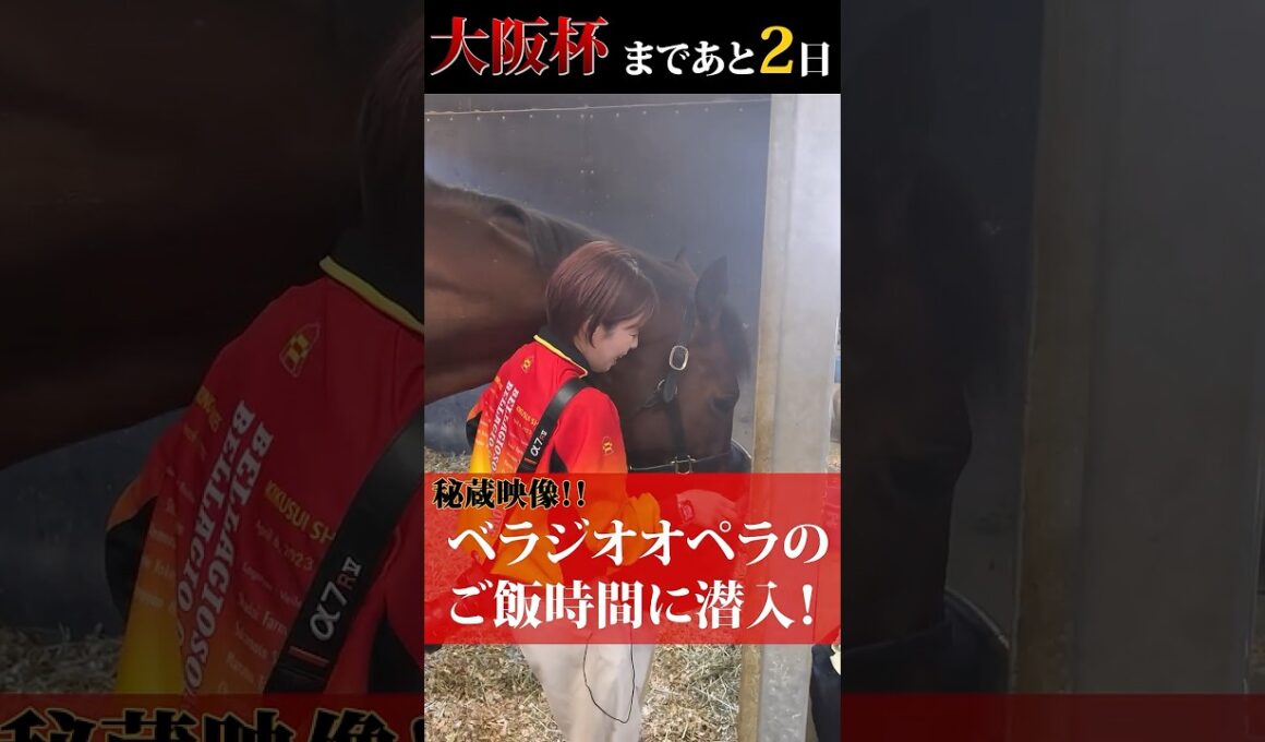 「ベラジオオペラ」大阪杯まであと2日～秘蔵映像！オペラのご飯タイムに潜入～【ベラジオch】#ベラジオオペラ #大阪杯