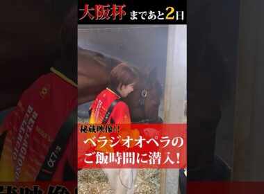「ベラジオオペラ」大阪杯まであと2日～秘蔵映像！オペラのご飯タイムに潜入～【ベラジオch】#ベラジオオペラ #大阪杯