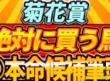 【菊花賞2025】◎本領発揮で戴冠へ。エリキングとエネルジコの違い。一発目論む穴馬も。ショウヘイの気になるコメント。【1週前全頭見解】
