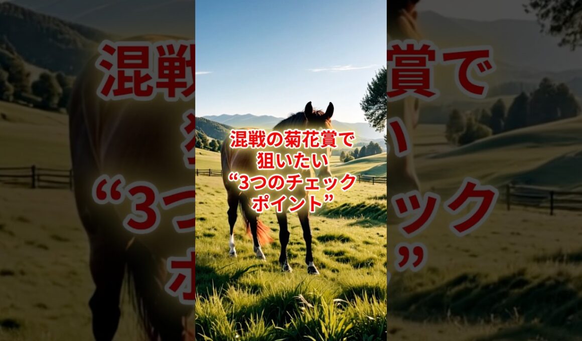 混戦の菊花賞で狙いたい“3つのチェックポイント” #競馬 #競馬雑学 #菊花賞