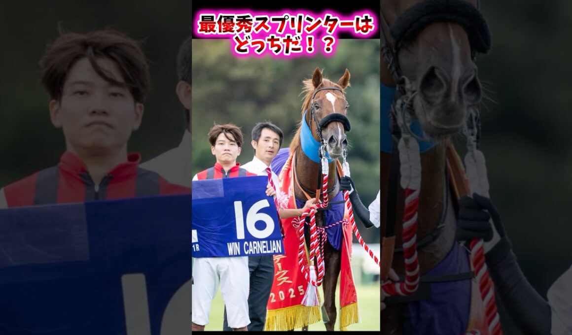 最優秀スプリンターはどっちだ！？【競馬反応集】 #ウインカーネリアン #サトノレーヴ #スプリンターズステークス #高松宮記念