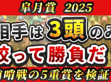 【皐月賞2025】弥生賞など前哨戦を徹底検証！判明した「買える3頭」とは...。