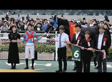 ✨ついに重賞初制覇！ネビーイーム、中山大障害へ挑戦🔥---#ネビーイーム #阪神ジャンプステークス #競馬ニュース