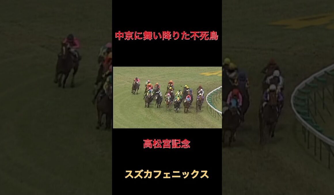 中京に舞い降りた不死鳥スズカフェニックス【高松宮記念】#競馬#馬券#名馬