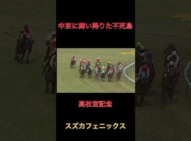中京に舞い降りた不死鳥スズカフェニックス【高松宮記念】#競馬#馬券#名馬