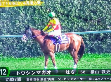 高松宮記念2025本馬場入場#サトノレーヴ ヴ#ナムラクレア #ママコチャ #トウシンマカオ #高松宮記念2025