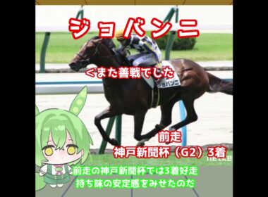 【菊花賞出走馬紹介】ジョバンニ　初の重賞制覇を目指す！いつもの安定感で世代上位の実力を見せつける！【菊花賞2025】#競馬 #ずんだもん #shorts