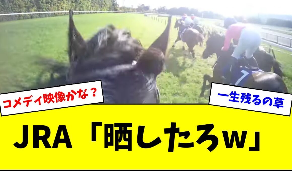 【お笑い】サメカツのジョッキーカメラ、無事公開されてしまうw w w