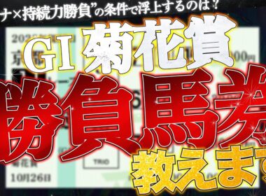 【菊花賞2025予想】勝負馬券、教えます。