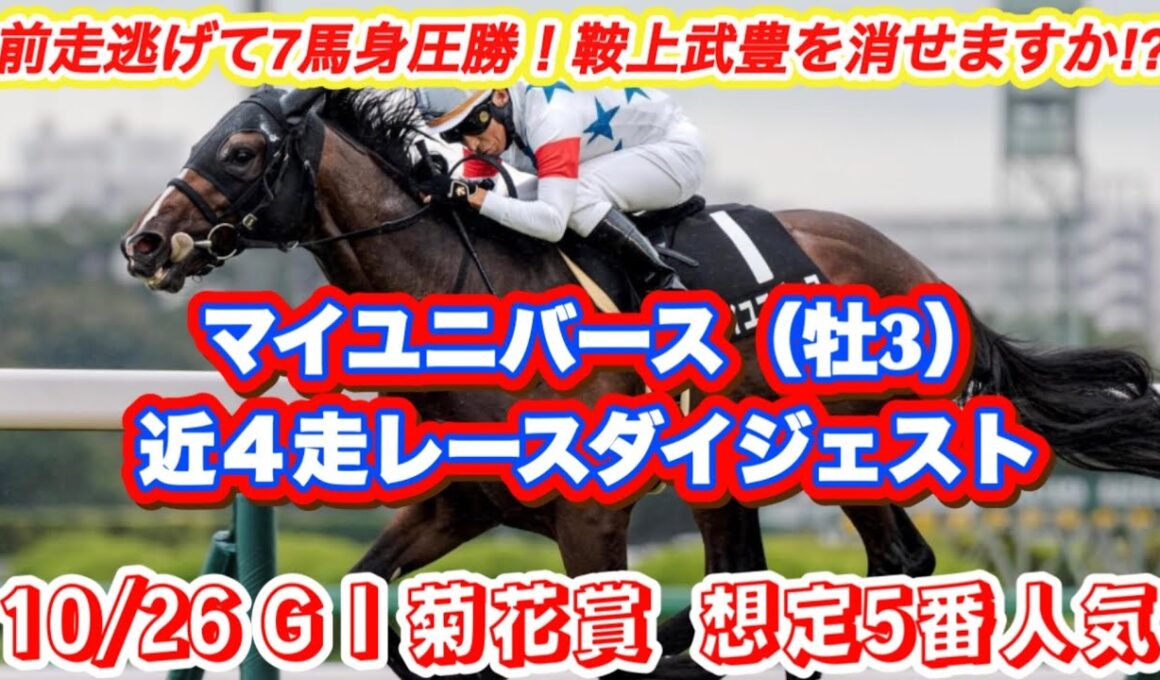 【マイユニバース】G I菊花賞想定5番人気！前走逃げて7馬身圧勝で今回武豊鞍上馬の近4走レースダイジェスト