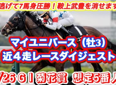 【マイユニバース】G I菊花賞想定5番人気！前走逃げて7馬身圧勝で今回武豊鞍上馬の近4走レースダイジェスト