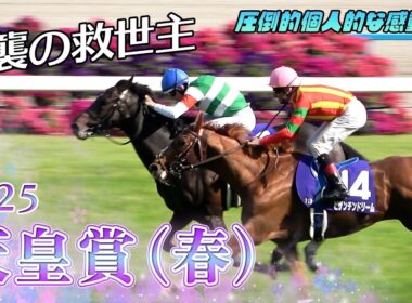 [現地G1] 天皇賞（春）2025 ヘデントール&ダミアン・レーン【ウマ娘BGM&実況付き】