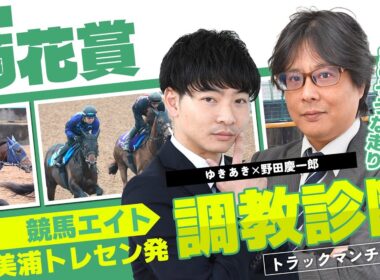 【競馬エイト調教診断】菊花賞（ゆきあき＆野田慶一郎）