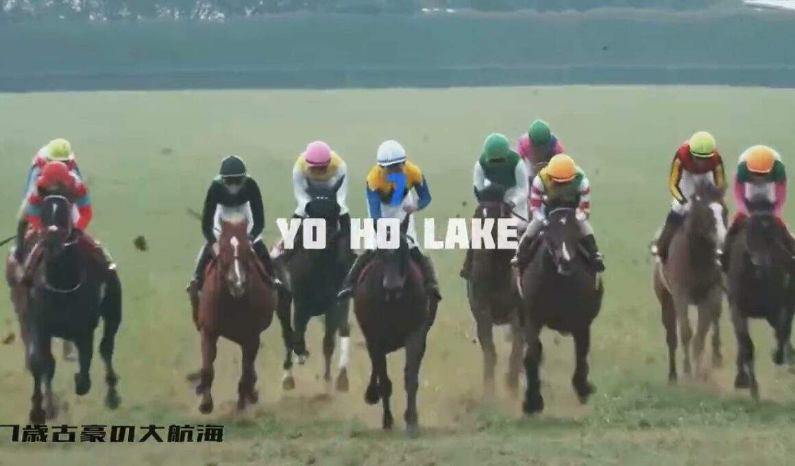【競馬MAD】大阪杯2025梅田ナイトフィーバー／梅田サイファー