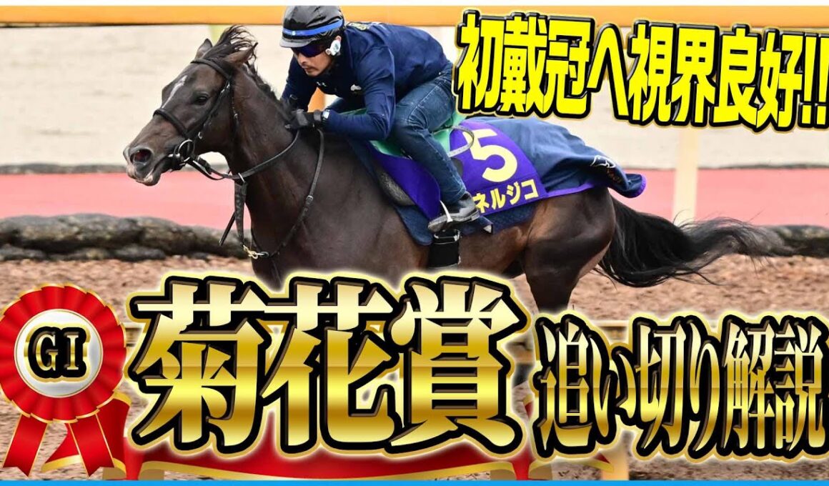 【菊花賞２０２５】美浦の穴馬『デキに関しては文句なし』栗東は上位人気馬順調！各出走馬の追い切りを東西記者が徹底解説！《東スポ競馬》
