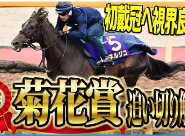 【菊花賞２０２５】美浦の穴馬『デキに関しては文句なし』栗東は上位人気馬順調！各出走馬の追い切りを東西記者が徹底解説！《東スポ競馬》