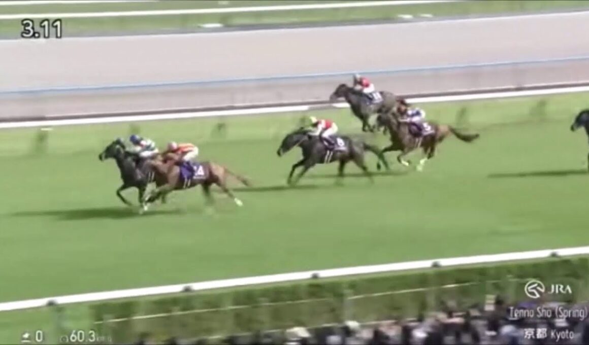 2025年天皇賞春　ヘデントール　～ラジオ日本実況