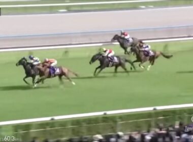 2025年天皇賞春　ヘデントール　～ラジオ日本実況