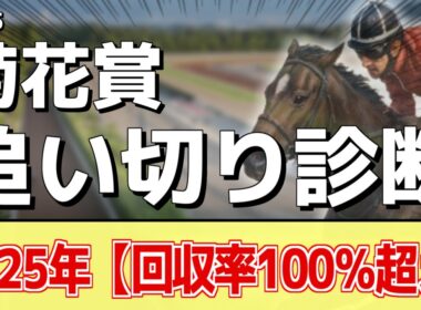 追い切り徹底解説！【菊花賞2025】エリキング、エネルジコなどの状態はどうか？調教S評価は2頭！