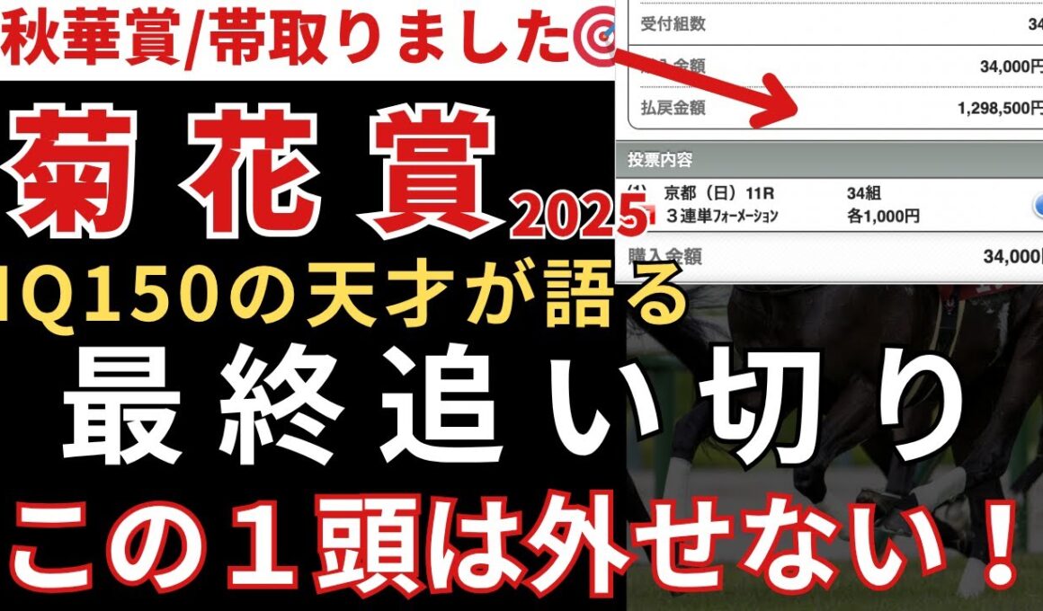 【菊花賞2025 予想】最終追い切り徹底解説！注目すべき1頭