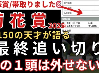 【菊花賞2025 予想】最終追い切り徹底解説！注目すべき1頭