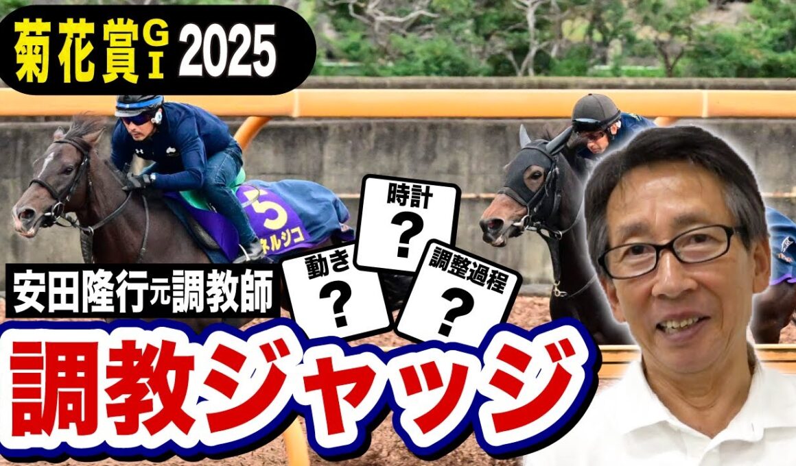 【菊花賞2025】エリキング選外！安田隆行元調教師が調教ジャッジ　「動き」「時計」「調教過程」を採点しピックアップした５頭を発表！《東スポ競馬ニュース》