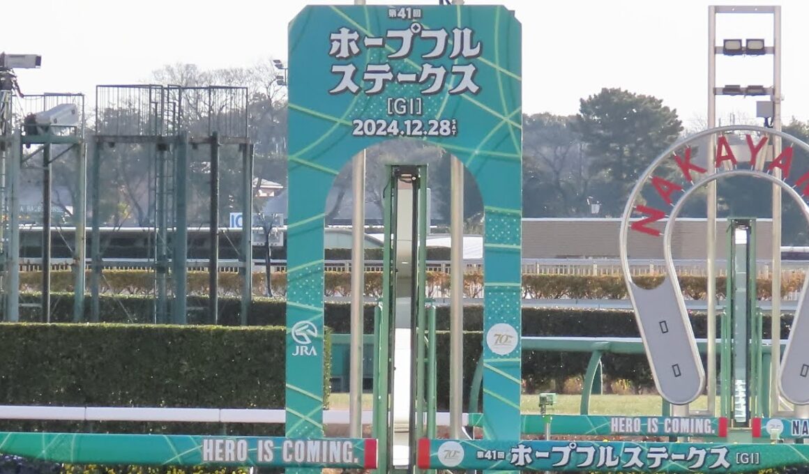 第41回ホープフルステークス【現地撮影】2024年12月28日　6番クロワデュノール