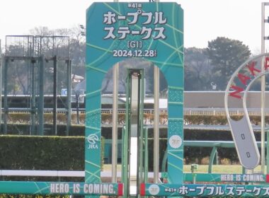 第41回ホープフルステークス【現地撮影】2024年12月28日　6番クロワデュノール