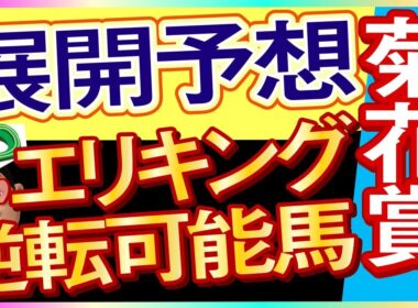 【菊花賞2025展開予想・データ分析】枠順と天気からエリキング逆転可能馬！エネルジコ、マイユニバース、アマキヒ、ゲルチュタール、レッドバンデ、ショウヘイ、ヤマニンブークリエなど参戦。武豊騎手がどう動く