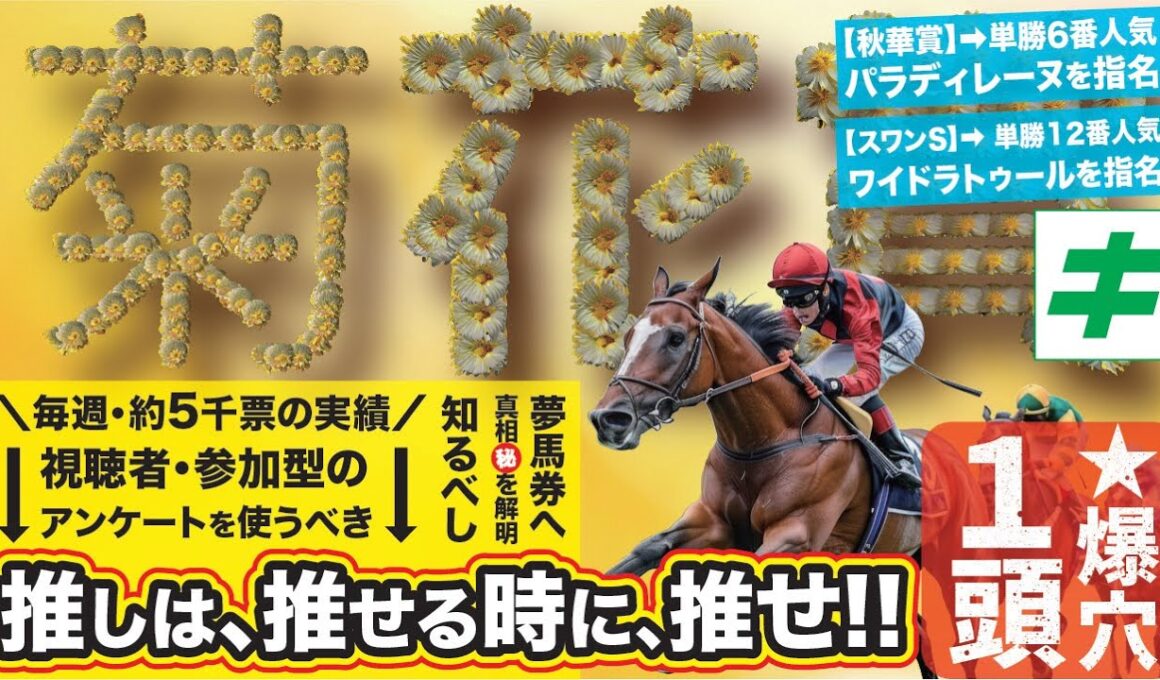 菊花賞 2025【予想/穴馬】単勝10番人気以下想定！必ず買いたい爆穴は！？超豪華メンバー天皇賞・秋の特集も公開！