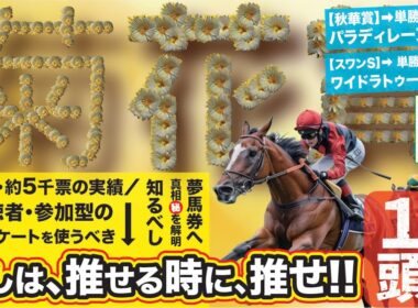 菊花賞 2025【予想/穴馬】単勝10番人気以下想定！必ず買いたい爆穴は！？超豪華メンバー天皇賞・秋の特集も公開！