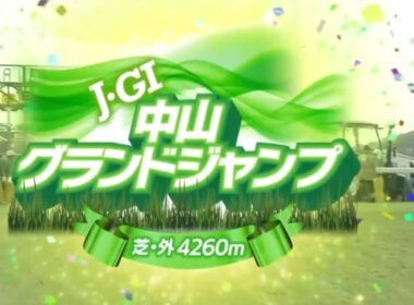 中山11R 第27回農林水産省賞典　中山グランドジャンプ（J・GⅠ）