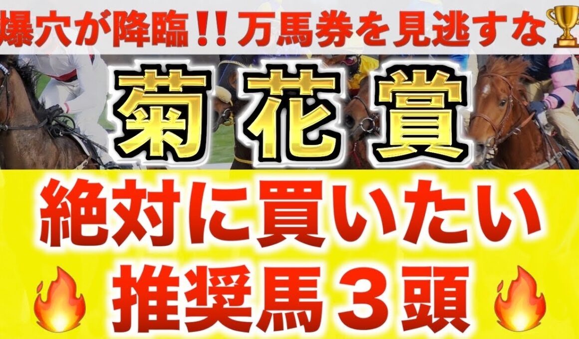 【菊花賞2025 予想】エネルジコ過去最高のデキ？プロが"全頭診断"から導く絶好の3頭！