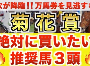 【菊花賞2025 予想】エネルジコ過去最高のデキ？プロが"全頭診断"から導く絶好の3頭！