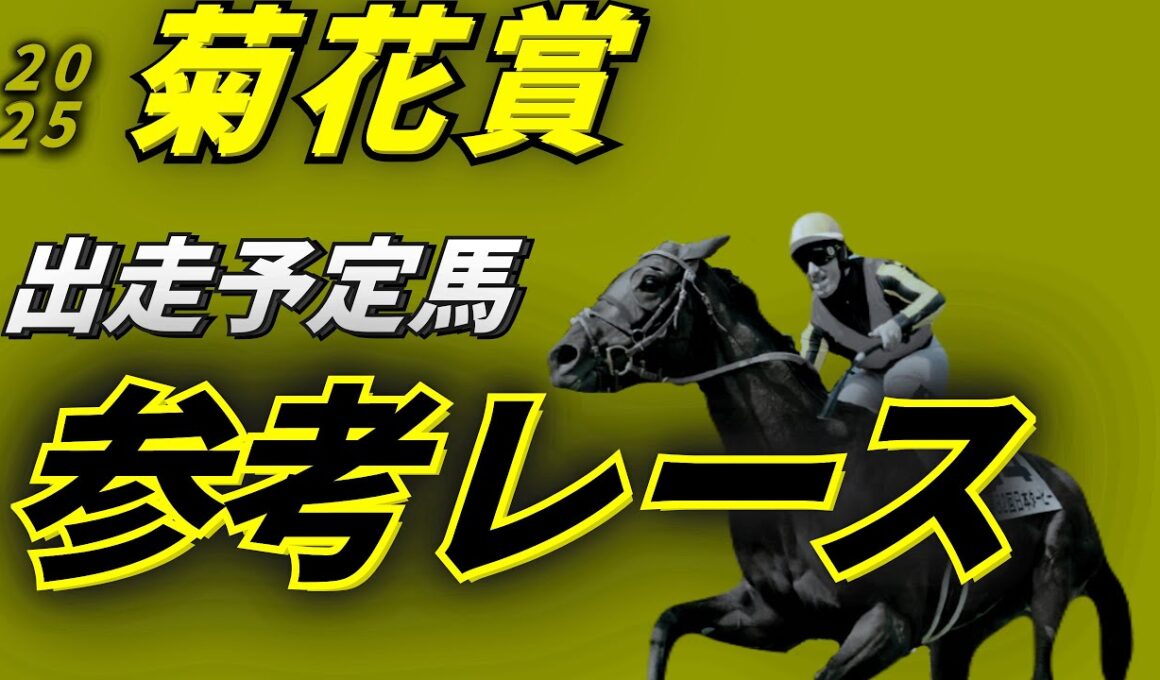 菊花賞2025 参考レース