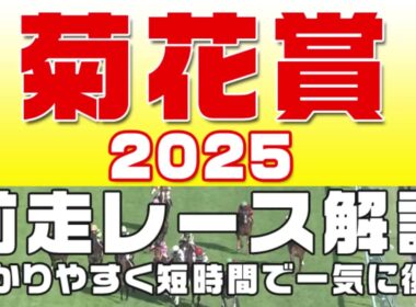 【菊花賞2025】参考レース解説。菊花賞2025登録馬のこれまでのレースぶりを競馬初心者にも分かりやすい解説で振り返りました。