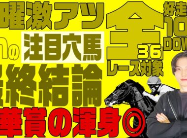 【2025秋華賞の最終結論】土曜日東京11R富士S◎◯▲決着！去年◎◯▲で帯をGETした秋華賞男の最終結論とは！？更に全36レースを対象に高期待値馬＋危険な人気馬を徹底解説！
