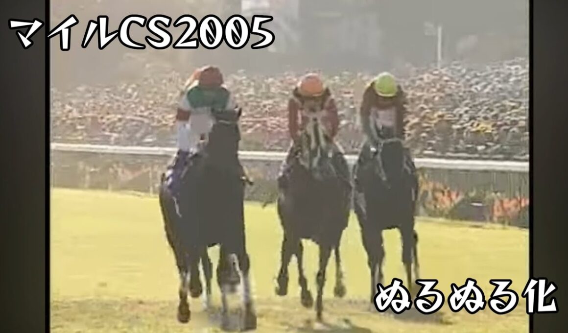 ハットトリック　マイルチャンピオンシップ 2005 ぬるぬる化で見よう conv to 60fps