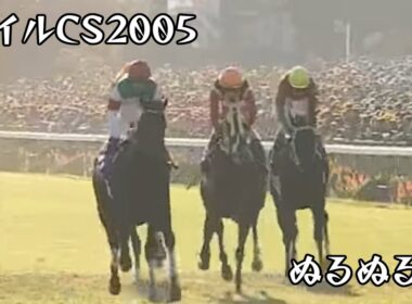 ハットトリック　マイルチャンピオンシップ 2005 ぬるぬる化で見よう conv to 60fps