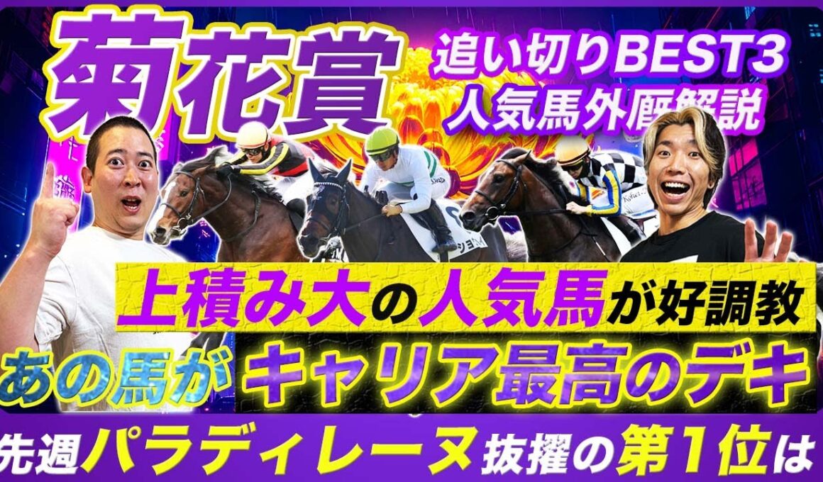 【菊花賞】G1で連続好走中の穴馬編にランクインしたのは意外な爆穴！上積み大の人気馬と最高仕上げの実績馬も