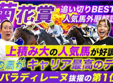 【菊花賞】G1で連続好走中の穴馬編にランクインしたのは意外な爆穴！上積み大の人気馬と最高仕上げの実績馬も