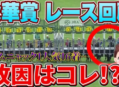 【秋華賞レース回顧】エンブロイダリー完勝！カムニャックの敗因は？次走は絶対に買うな！#競馬 #秋華賞2025  #秋華賞