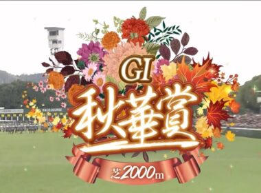 京都11R 第30回秋華賞（GⅠ）