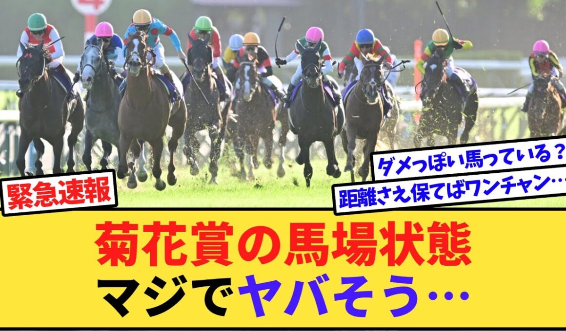 【悲報】菊花賞の馬場、雨で終わりそう…