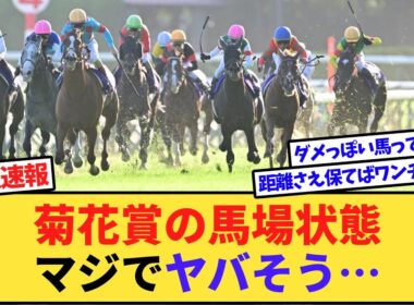 【悲報】菊花賞の馬場、雨で終わりそう…