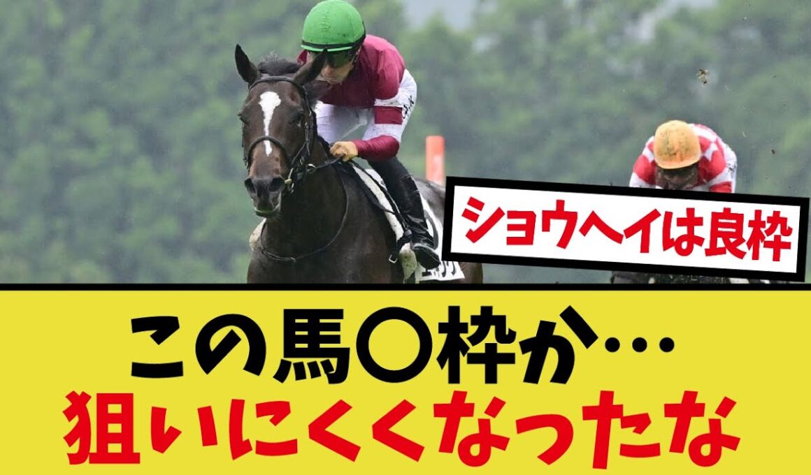 「菊花賞の枠順がヤバすぎる！」に対するみんなの反応集