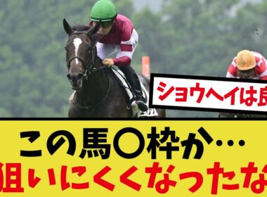 「菊花賞の枠順がヤバすぎる！」に対するみんなの反応集