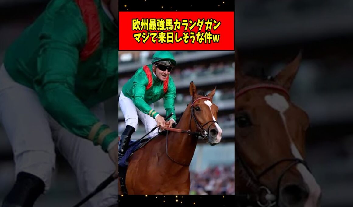 【速報】欧州最強馬カランダガン、本当にジャパンカップに来そうwww#shorts